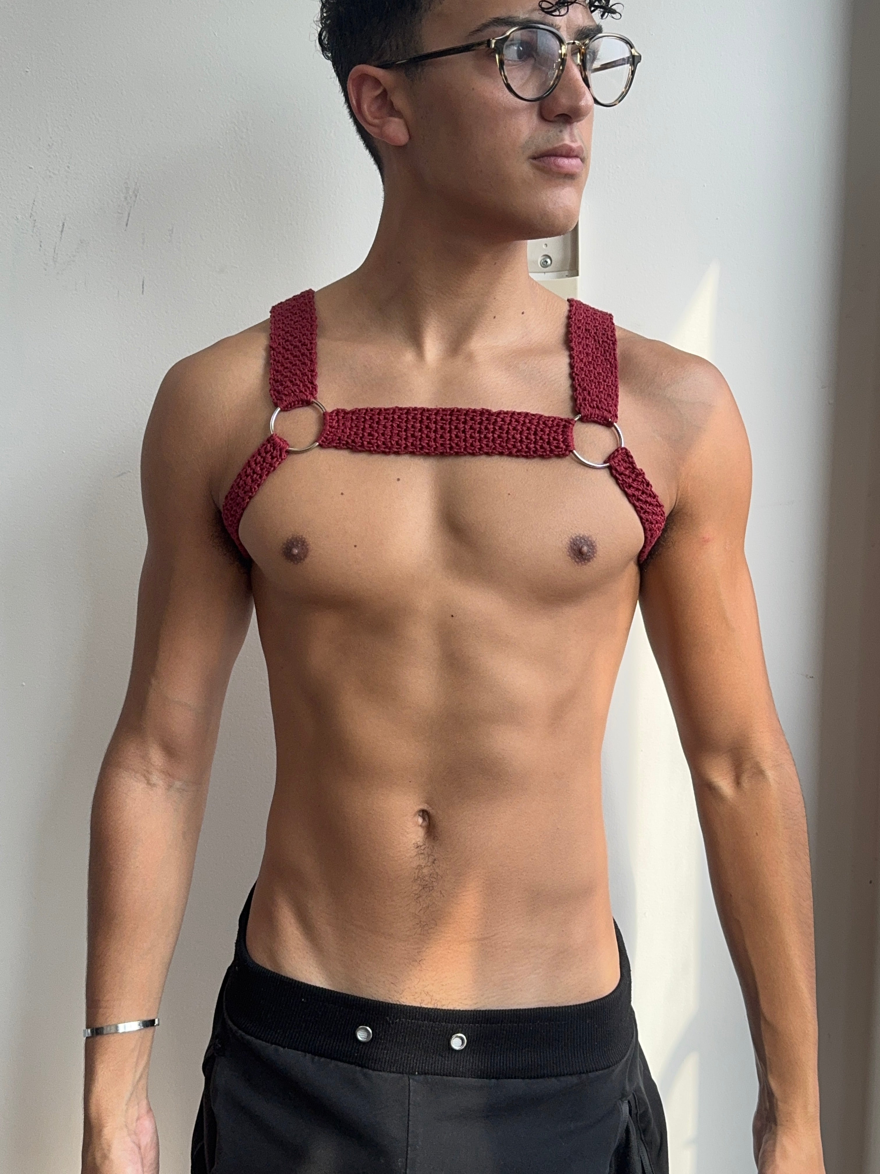 Bulldog Harness PDF Pattern