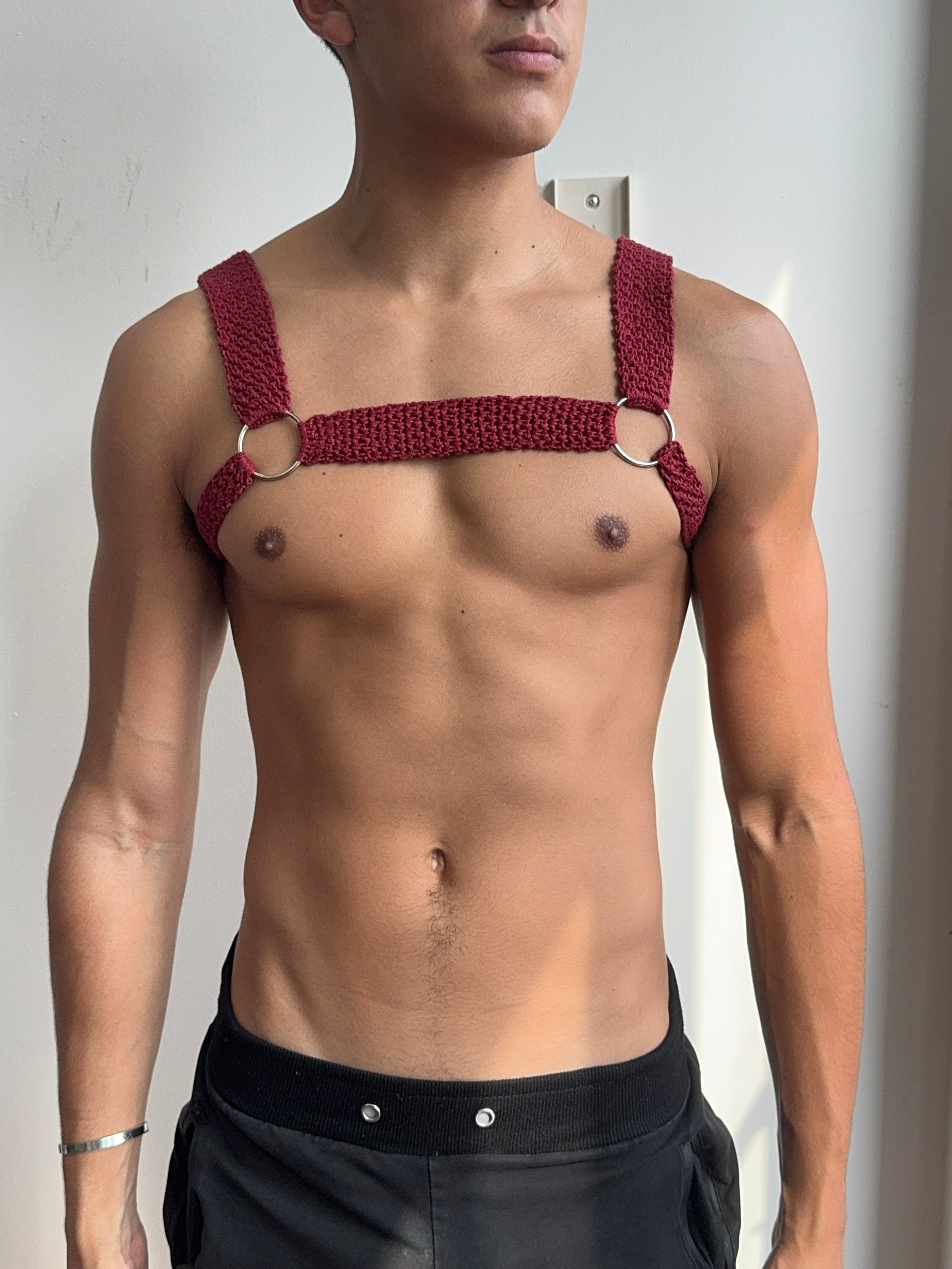 Bulldog Harness PDF Pattern